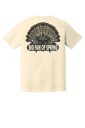 Big Fan of Spring Tee